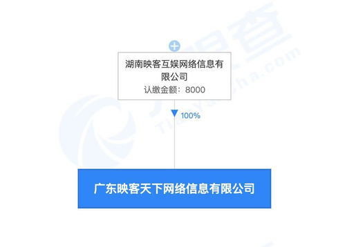 企業(yè)形象策劃 構(gòu)筑品牌靈魂與市場(chǎng)競(jìng)爭(zhēng)力的核心工程