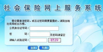 東莞社保個人賬戶查詢與社會經濟咨詢服務指南